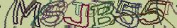 Retype the CAPTCHA code from the image